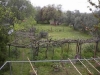 a-view